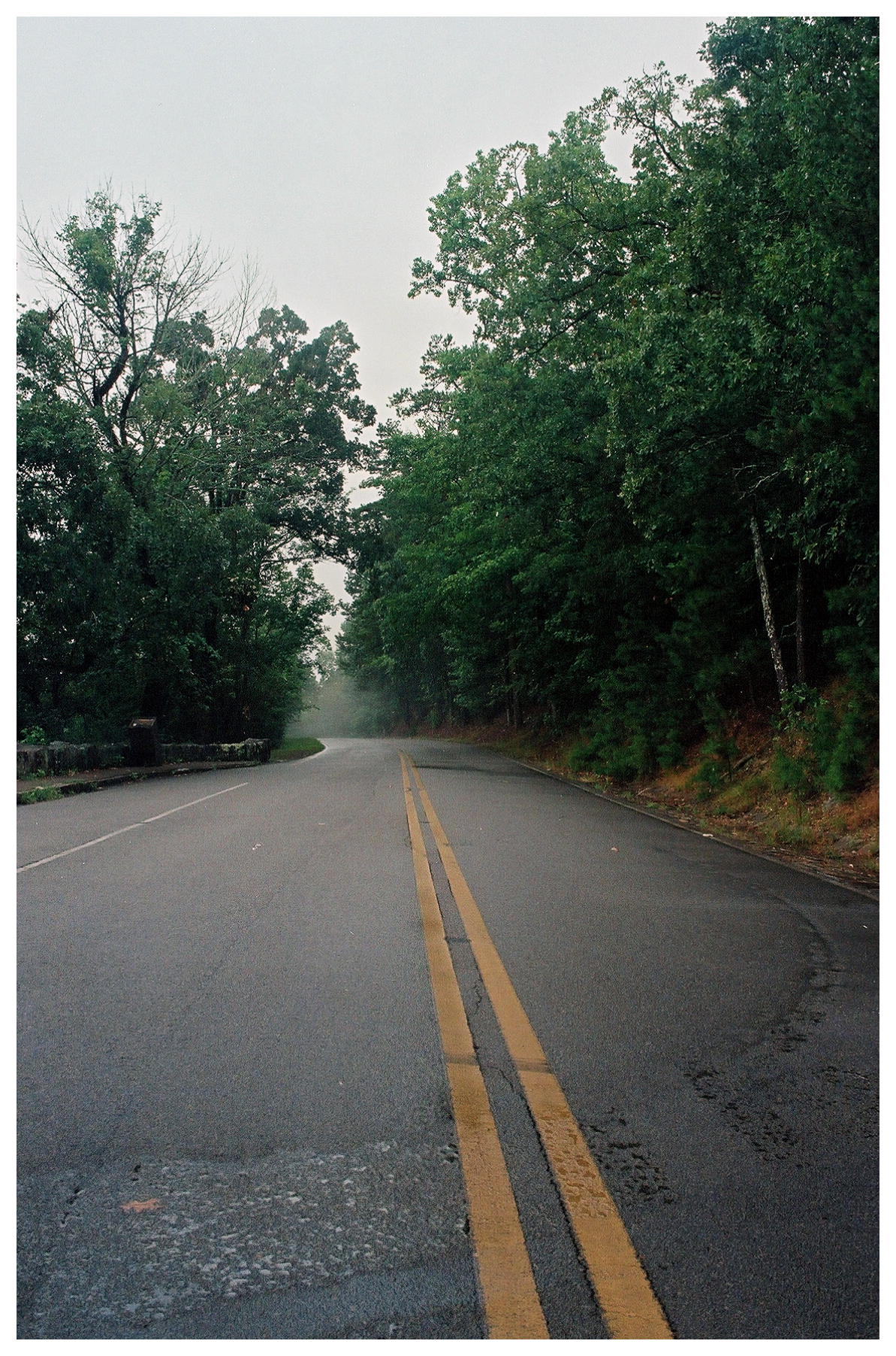 Road through Hot Springs National Park